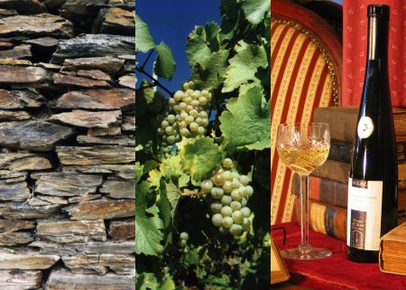 Foto: Collage aus Schiefermauer, Weinstock mit Trauben und Weinflasche