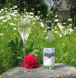 Foto: Eine Flasche Wein und ein langstieliges Glas mit Weisswein auf einer Blumenwiese